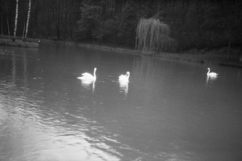 Fotografie, Liestal, Orisweiher