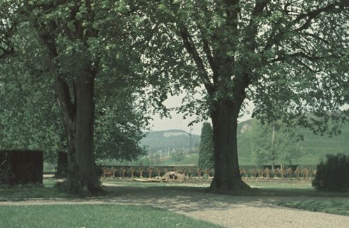 Fotografie, Liestal, Städtischer Friedhof