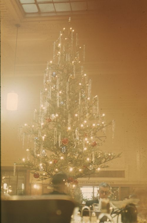 Fotografie, Basel, Weihnachtsbaum Buffet 1. Klasse