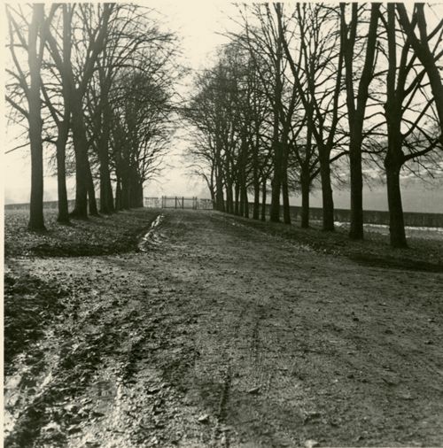 Fotografie, Sissach, Schloss Ebenrain, Allee