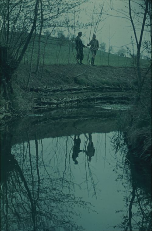 Fotografie, Dornach, Hagebächli, Bachverbauungen (Faschinen)