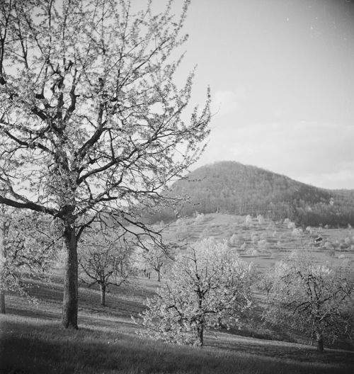 Fotografie, Frenkendorf, beim Adlerhof