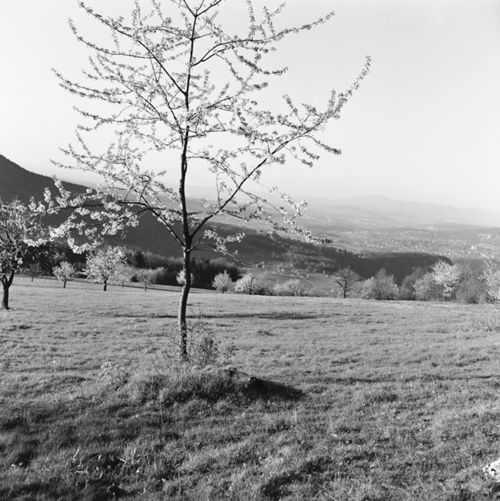 Fotografie, Landschaft