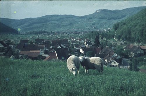 Fotografie, Zunzgen, Ausblick vom Büchel