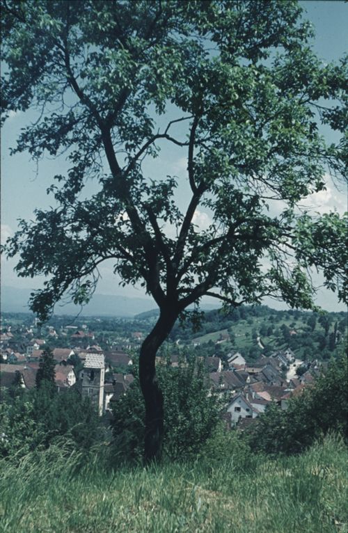 Fotografie, Pratteln