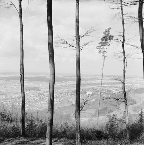 Fotografie, Arlesheim, von Gempenplatte (Schartenfluh) -> Dornach - Basel, Goetheanum