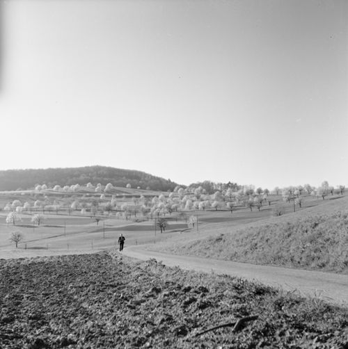 Fotografie, Landschaft