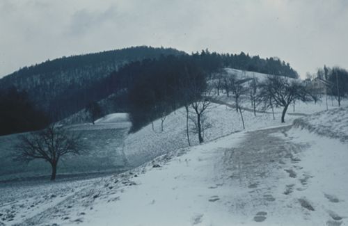 Fotografie, Gelterkinden, Weg zur Farnsburg beim obern Homberg