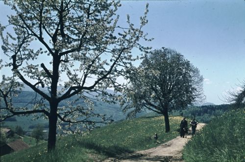 Fotografie, Gelterkinden, Ober-Homberg