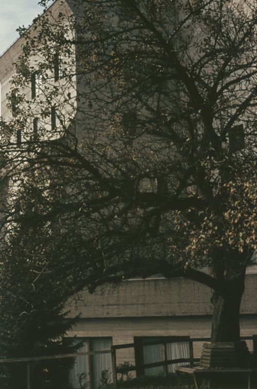 Fotografie, Dornach, Goetheanum