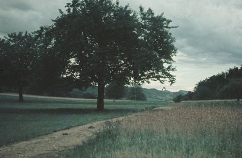 Fotografie, Obstbäume