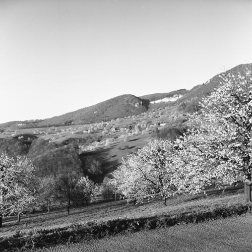 Fotografie, Landschaft