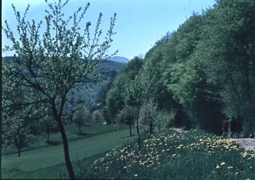 Fotografie, Gelterkinden, bei den Homberghöfen