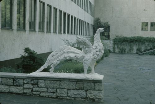Fotografie, Fritz Bürgin, Plastik "Greif"