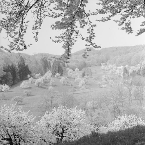 Fotografie, Bei Frenkendorf