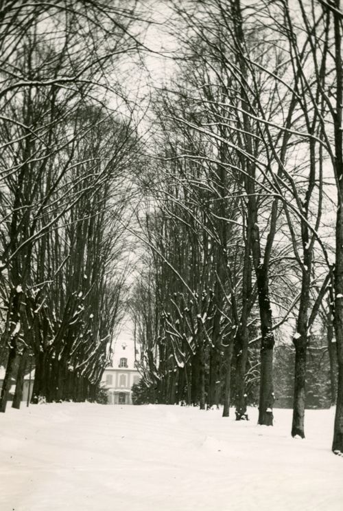 Fotografie, Sissach, Schloss Ebenrain, Allee im Winter