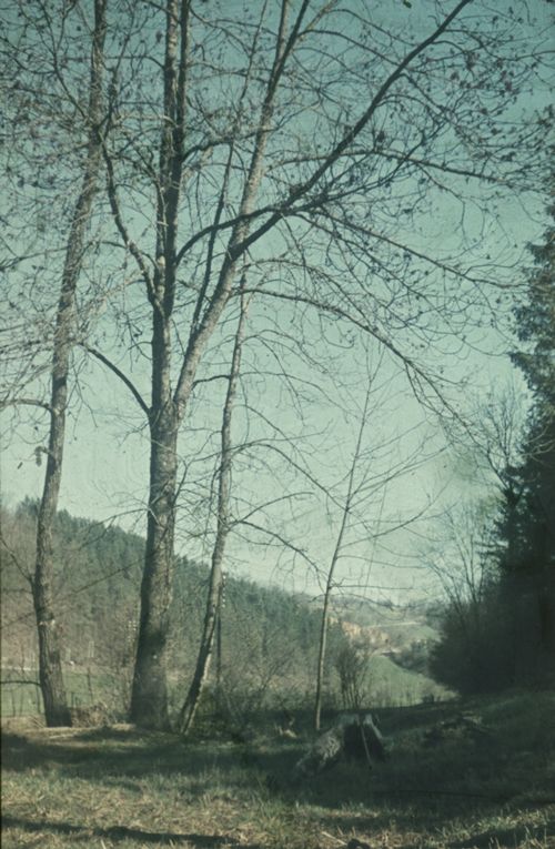 Fotografie, Liestal, Oristal