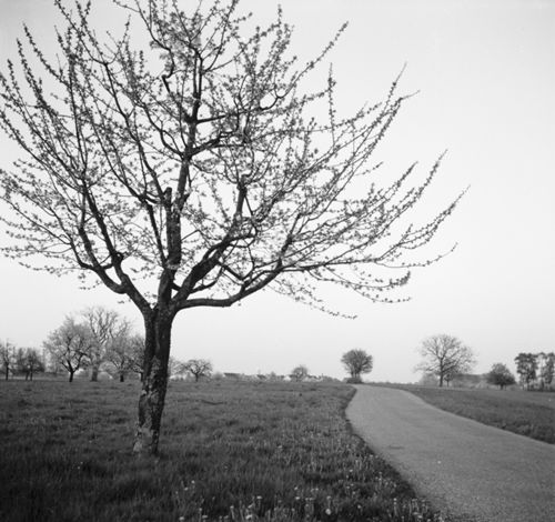 Fotografie, Bei Seltisberg