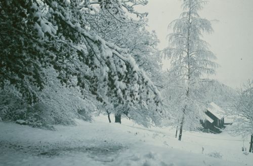 Fotografie, Farnsburghof, Winterlandschaft