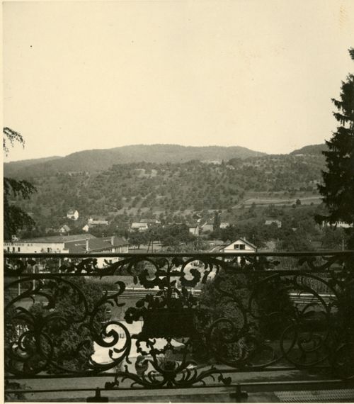 Fotografie, Sissach, Blick vom Schloss Ebenrain