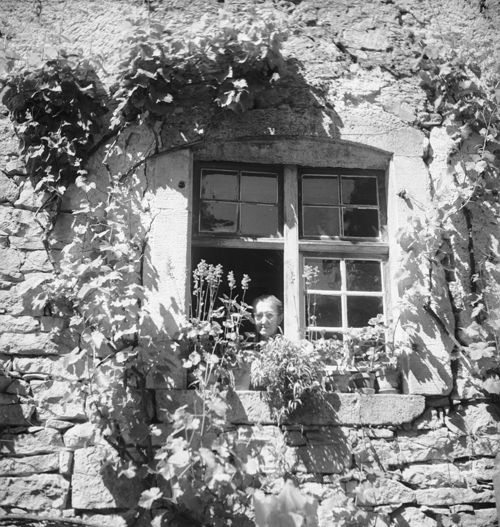 Fotografie, Nusshof, Blumenfenster mit Frau Fricker