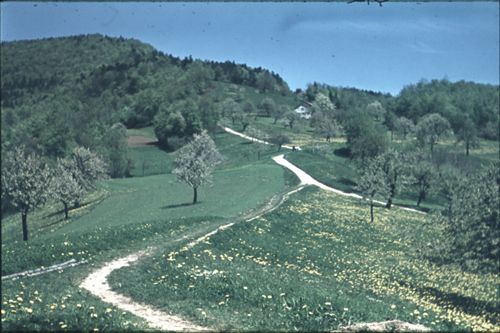 Fotografie, Gelterkinden, Homberghöfe - Farnsburg