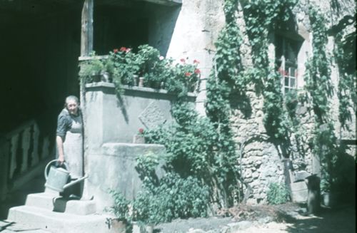 Fotografie, Nusshof, Eingangstreppe