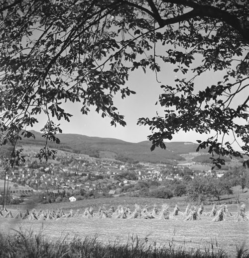 Fotografie, Liestal, Gesamtbild von Osten, Sigmund
