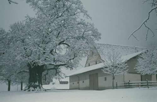 Fotografie, Farnsburghof im Winter