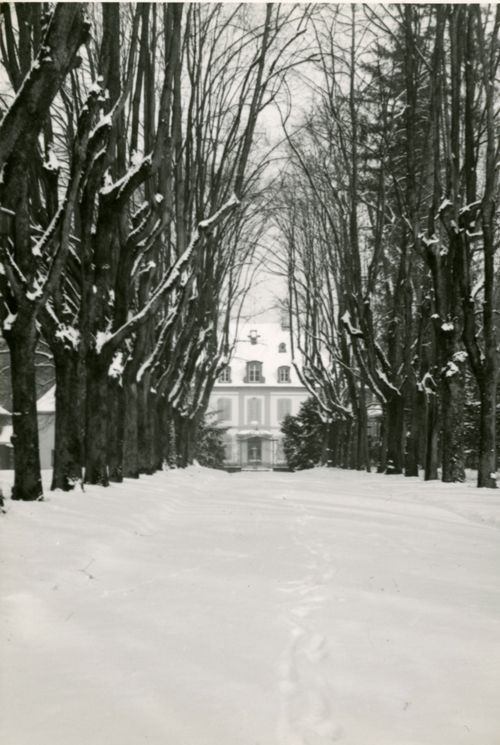 Fotografie, Sissach, Schloss Ebenrain, Allee im Winter