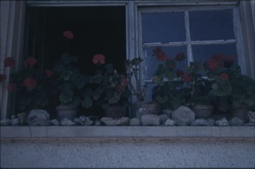 Fotografie, Zeglingen, Blumenfenster