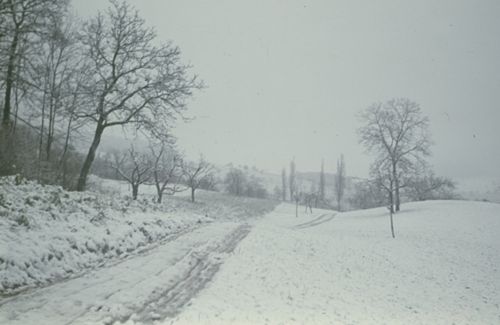 Fotografie, Weg zum Farnsburghof