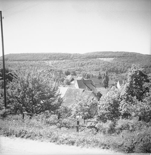 Fotografie, Nusshof