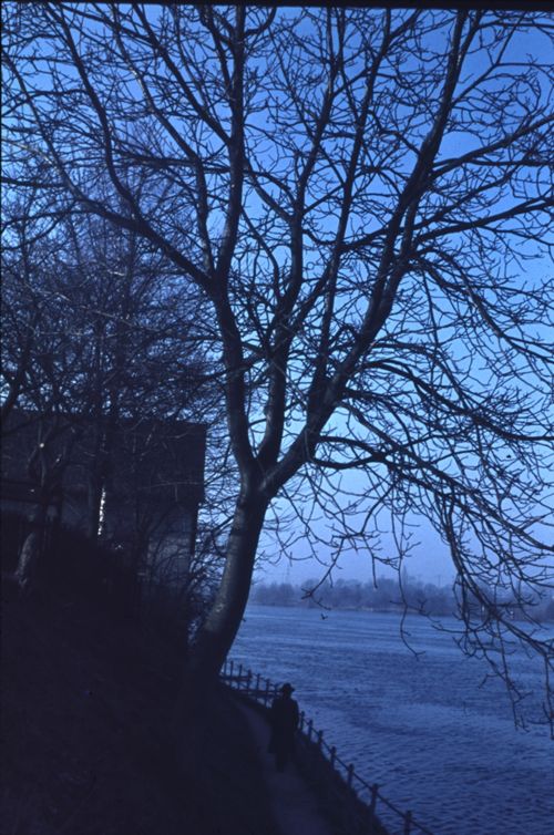 Fotografie, Kaiseraugst, Fuchsloch am Rheinufer