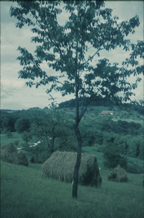Fotografie, Buus, Blick vom Farnsberg