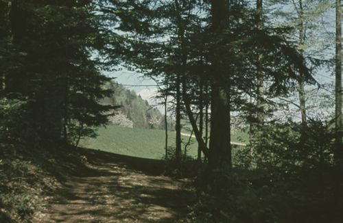Fotografie, Weg zur Farnsburg