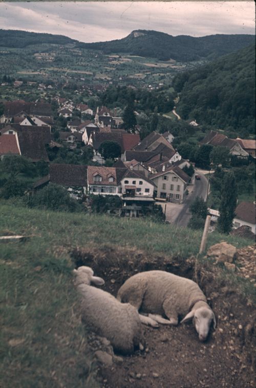 Fotografie, Zunzgen, Grabung auf dem Büchel