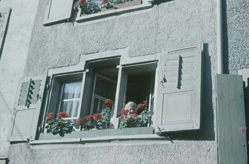 Fotografie, Liestal, "Blick aus dem Blumenfenster"