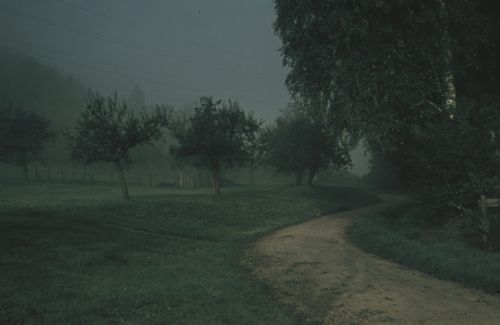 Fotografie, Bei Liestal, Feldweg