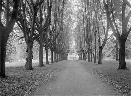 Fotografie, Sissach,; Schloss Ebenrain, Lindenallee