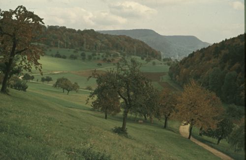 Fotografie, Liestal, Röserental