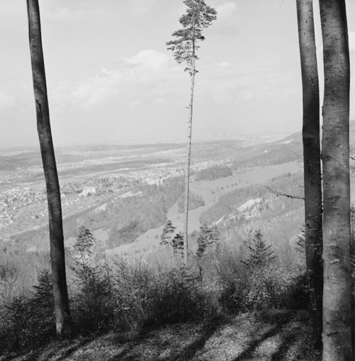 Fotografie, Arlesheim, von Gempenplatte (Schartenfluh) -> Dornach - Basel, Goetheanum