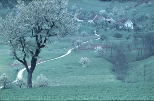 Fotografie, Maisprach
