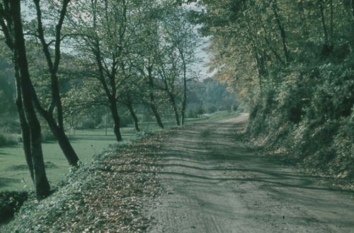 Fotografie, Liestal, Landstrasse Oristal