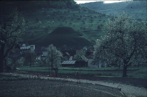 Fotografie, Zunzgen, Büchel
