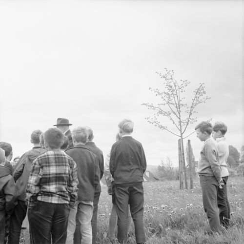 Fotografie, Liestal, Friedenslinde, Klasse C.A.Ewald
