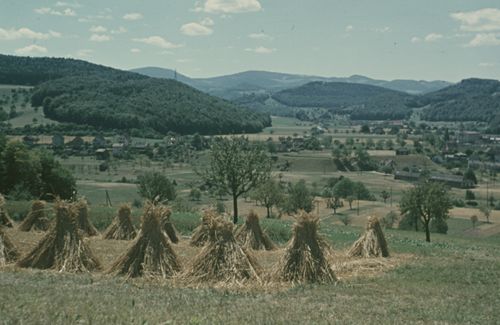 Fotografie, Liestal, Ausblick Sigmund gegen Frenkental, Garbenfeld