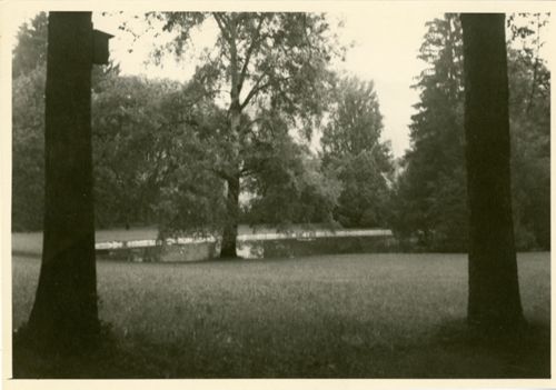 Fotografie, Sissach, Schloss Ebenrain, Parkanlage mit Weiher