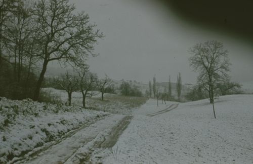 Fotografie, Feldweg im Winter