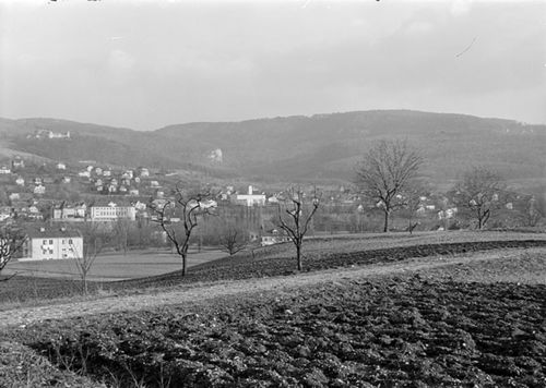 Fotografie, Arlesheim, Blick vom Birseck gegen Dornach